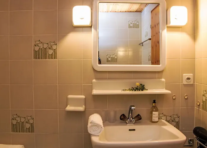 Chaedoz 43 By Interhome Appartement Nendaz